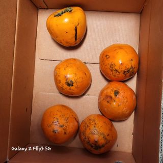 장유경만점자님의 오늘 어떤 농작업하셨나요? · 참여글 작성글 사진