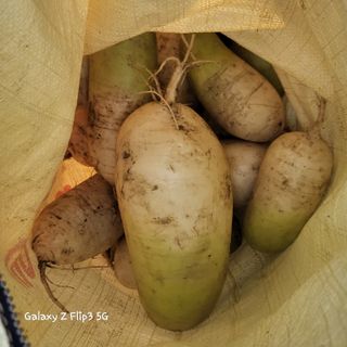 장유경만점자님의 오늘 어떤 농작업하셨나요? · 참여글 작성글 사진