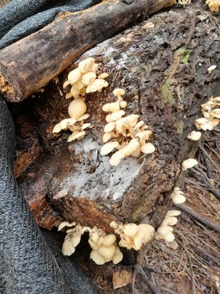 정상훈님의 오늘 어떤 농작업하셨나요? · 참여글 작성글 사진