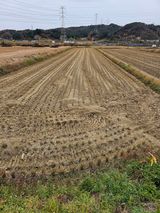 팜모닝 오늘 어떤 농작업하셨나요?·참여글 게시글 이미지