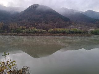 한명희님의 자유주제 · 사진전 작성글 사진