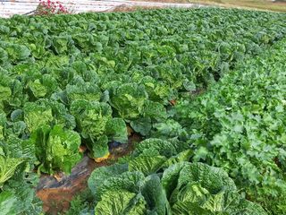 박린님의 자유주제 · 자유게시판 작성글 사진