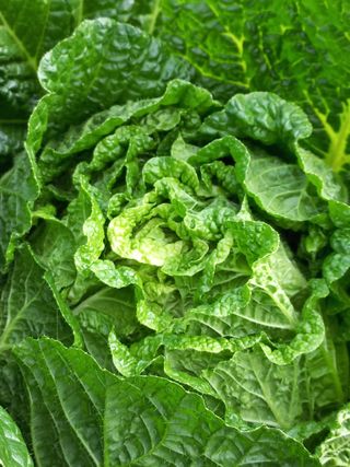 박린님의 자유주제 · 자유게시판 작성글 사진