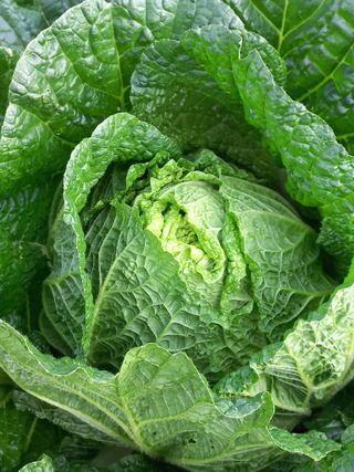 박린님의 자유주제 · 자유게시판 작성글 사진