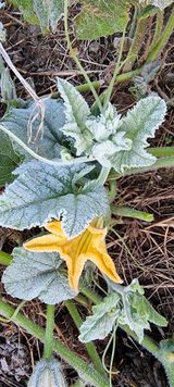 팜모닝 우리동네·동네수다 게시글 이미지