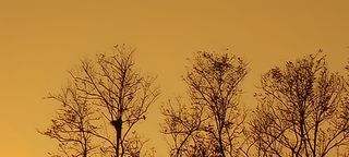 희망농부58님의 우리동네 · 동네수다 작성글 사진