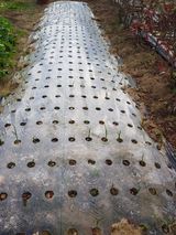 팜모닝 오늘 어떤 농작업하셨나요?·참여글 게시글 이미지