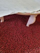 팜모닝 오늘 어떤 농작업하셨나요?·참여글 게시글 이미지