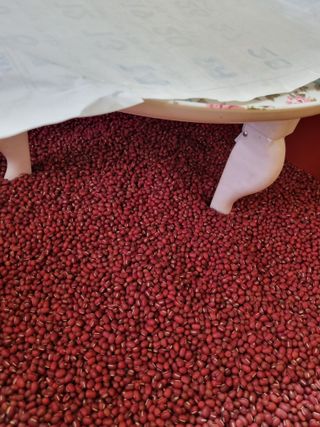 이상응님의 오늘 어떤 농작업하셨나요? · 참여글 작성글 사진