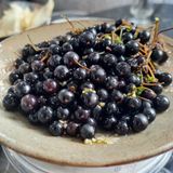 팜모닝 자유주제·자유게시판 게시글 이미지