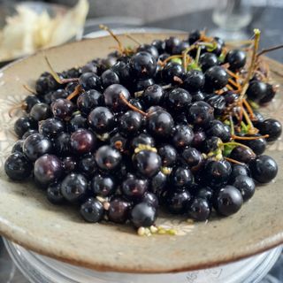 윤충기님의 자유주제 · 자유게시판 작성글 사진