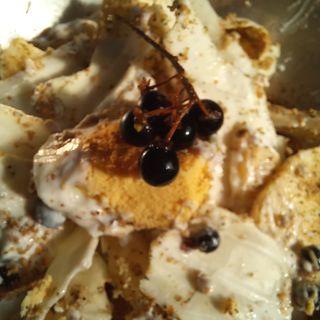 윤충기님의 자유주제 · 자유게시판 작성글 사진