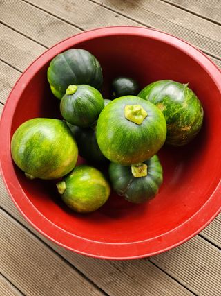 최군환님의 콩 · 영농일지 작성글 사진