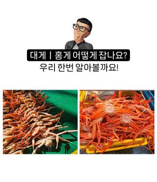 노가네수산님의 장터이야기 · 자유게시판 작성글 사진