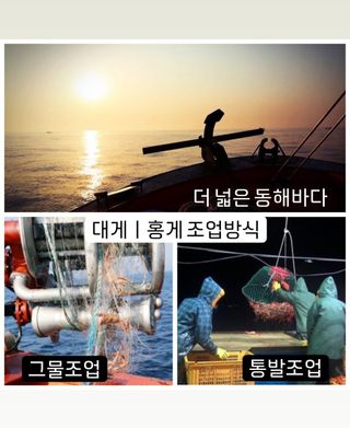 노가네수산님의 장터이야기 · 자유게시판 작성글 사진