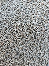 팜모닝 · 게시글 이미지