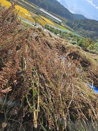 김원국님의 작성글 사진