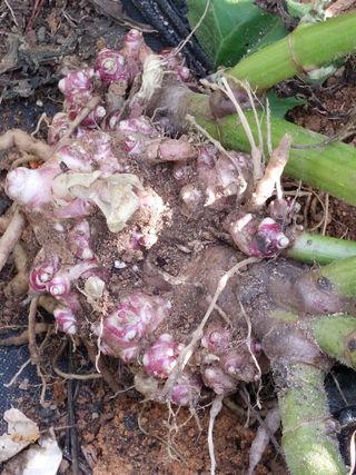 이재훈님의 자유주제 · 건의해요 작성글 사진