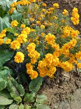 팜모닝 오늘 어떤 농작업하셨나요?·참여글 게시글 이미지