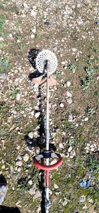 산조아자연인님의 오늘 어떤 농작업하셨나요? · 참여글 작성글 사진