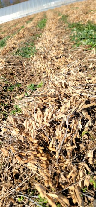 산조아자연인님의 오늘 어떤 농작업하셨나요? · 참여글 작성글 사진