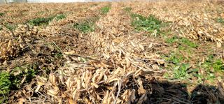 산조아자연인님의 오늘 어떤 농작업하셨나요? · 참여글 작성글 사진