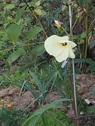 금동이네님의 자유주제 · 자유게시판 작성글 사진