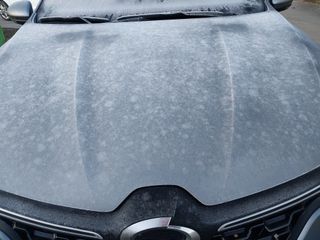 금동이네님의 자유주제 · 자유게시판 작성글 사진