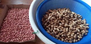 장만월님의 자유주제 · 자유게시판 작성글 사진