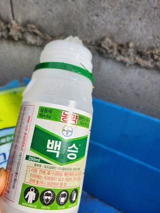 (박미성)님의 복숭아 · 영농일지 작성글 사진