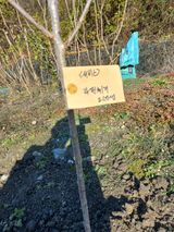 팜모닝 자유주제·자유게시판 게시글 이미지