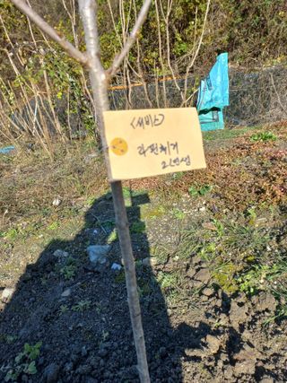 성낙신 님의 자유주제 · 자유게시판 작성글 사진