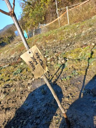 성낙신 님의 자유주제 · 자유게시판 작성글 사진