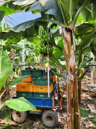 정기영님의 오늘 어떤 농작업하셨나요? · 참여글 작성글 사진