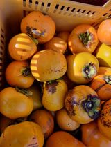 팜모닝 오늘 어떤 농작업하셨나요?·참여글 게시글 이미지