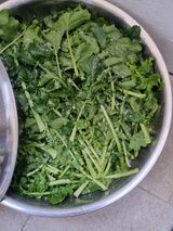 팜모닝 오늘 어떤 농작업하셨나요?·참여글 게시글 이미지