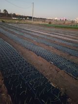 팜모닝 자유주제·자유게시판 게시글 이미지