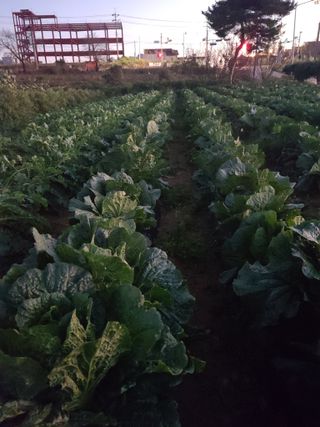 최승찬님의 자유주제 · 자유게시판 작성글 사진