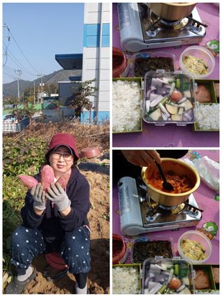 조희영님의 고구마 · 자유게시판 작성글 사진