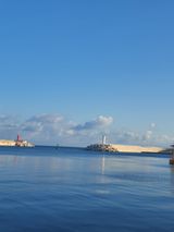 팜모닝 우리동네·동네정보 게시글 이미지