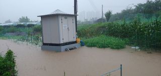 형통한사람님의 팜모닝 · 출석 작성글 사진