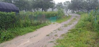 형통한사람님의 팜모닝 · 출석 작성글 사진