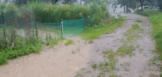 형통한사람님의 팜모닝 · 출석 작성글 사진