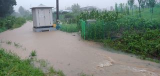 형통한사람님의 팜모닝 · 출석 작성글 사진