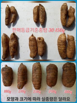 파머스팜X유성천마님의 작성글 사진