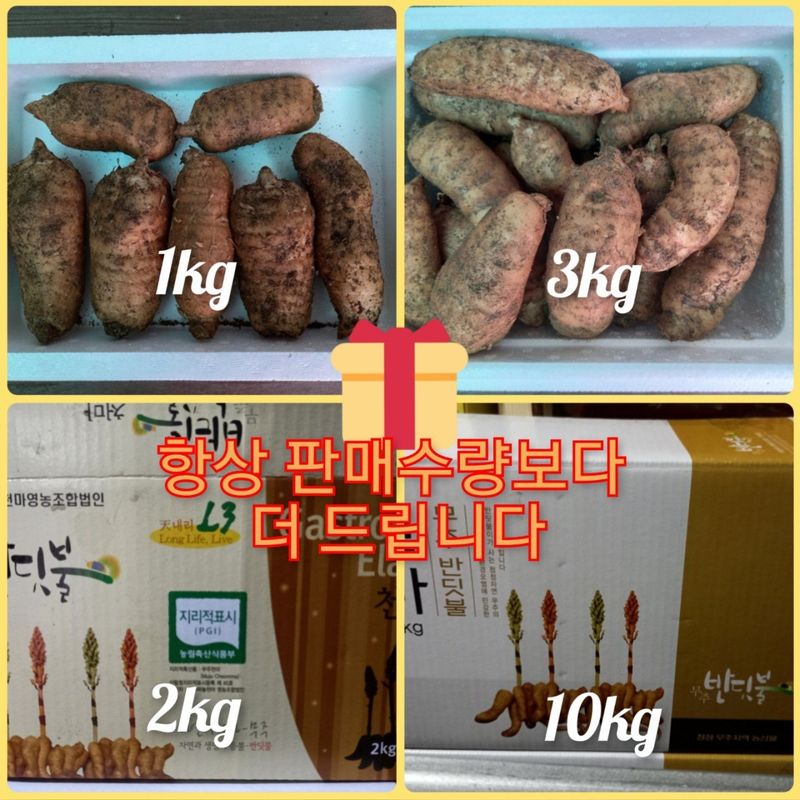 파머스팜X유성천마님의 장터 판매 상품 [(품절)2024 가을 생천마 1kg] 첨부 사진