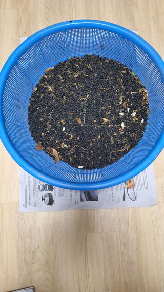 강진원님의 콩 · 자유게시판 작성글 사진