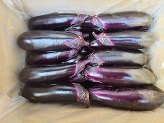 김승희님의 오늘 어떤 농작업하셨나요? · 참여글 작성글 사진