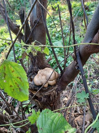 알 수 없음님의 자유주제 · 사진전 작성글 사진
