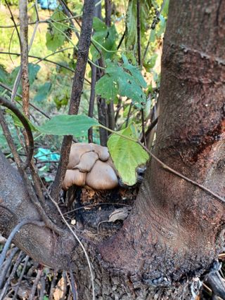 알 수 없음님의 자유주제 · 사진전 작성글 사진